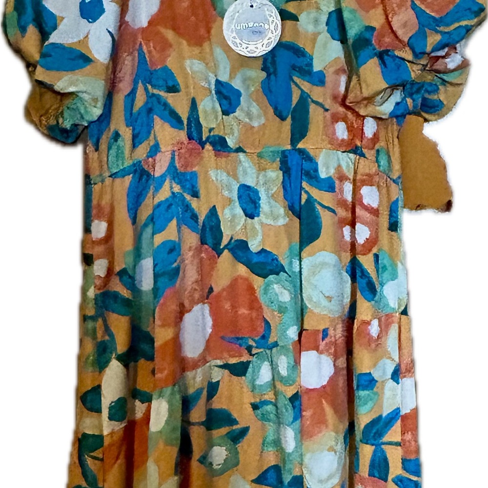 Umgee Colorful Floral dress